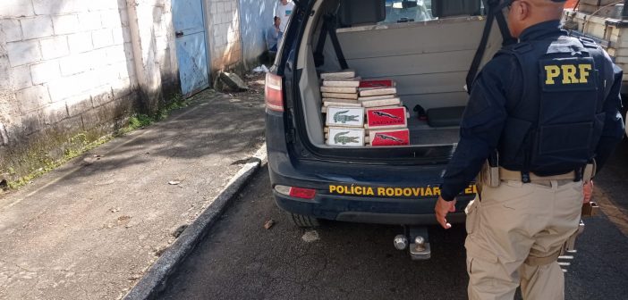 Quase Quilos De Pasta Base De Coca Na S O Apreendidos Em Barra Mansa