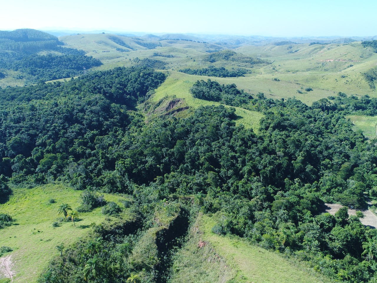 Resultado de imagem para recuperaÃ§Ã£o ambiental