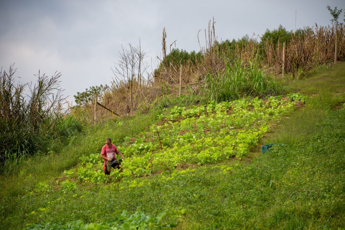 05 06 24 horta e produção sta rita de cássia 2 iam martins