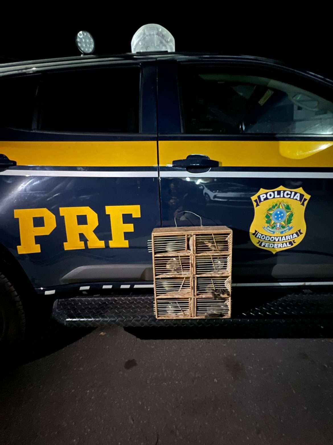 21.cf.res.polÍcia.prf apreende aves silvestres.divulgaÇÃoprf