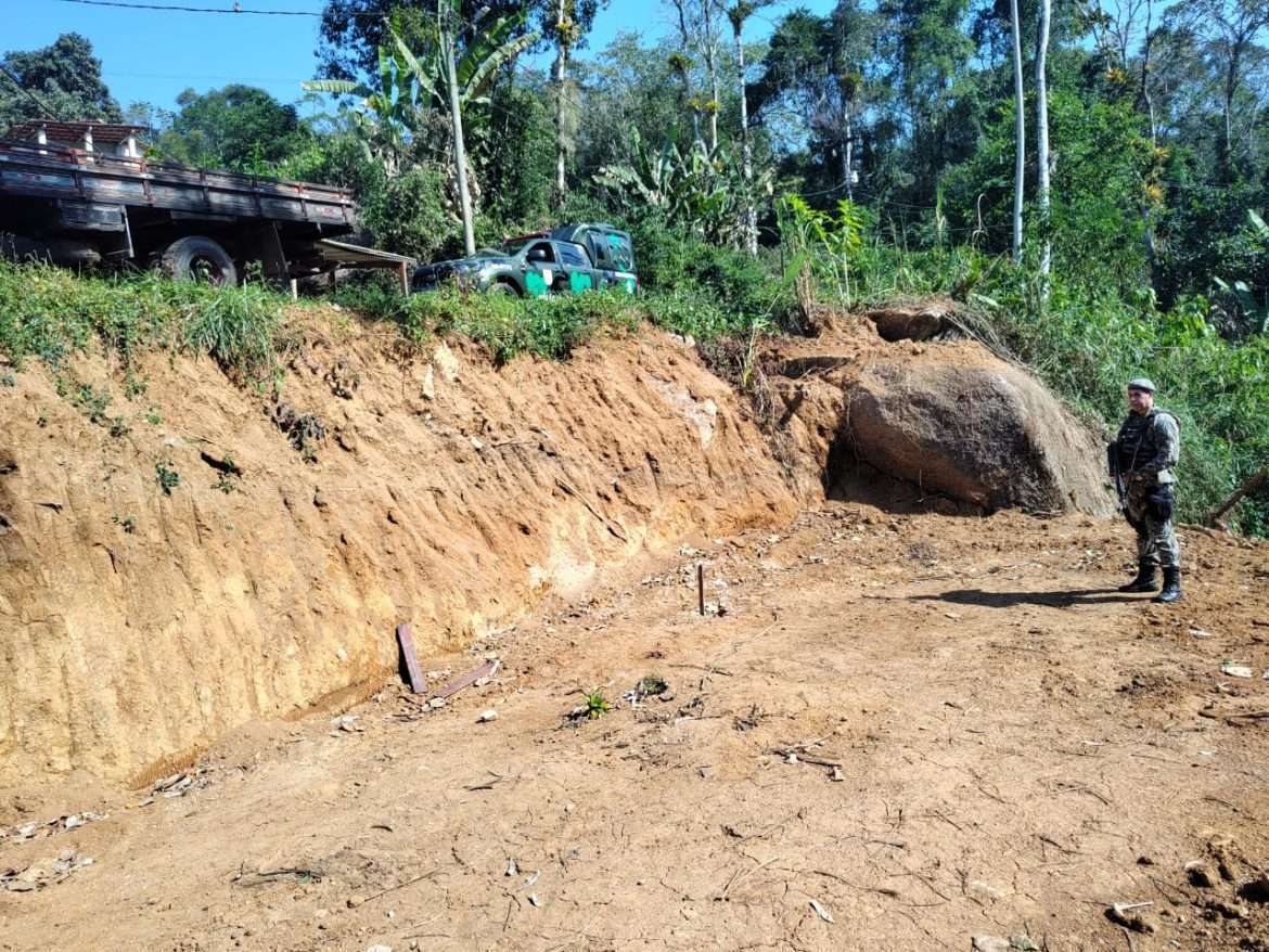 27.cf.res.polÍcia.polícia ambiental identifica corte (3)