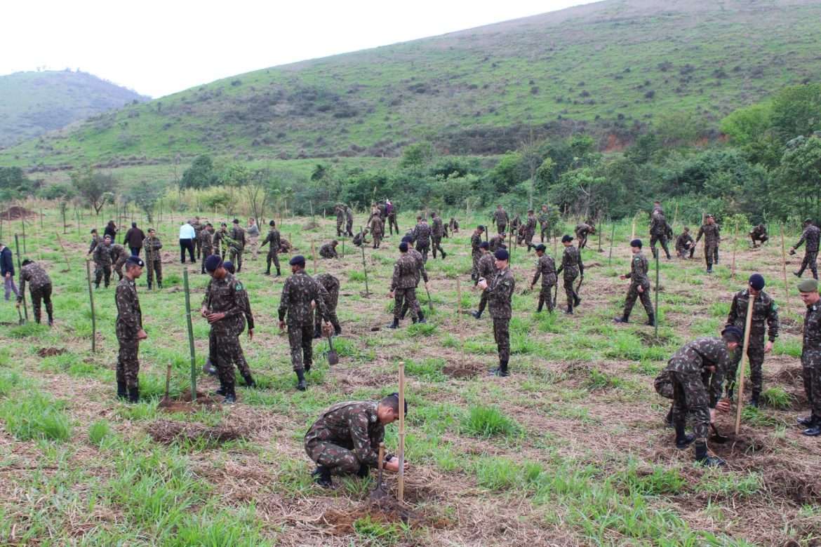 21.cf.cidades.aman celebra dia da Árvore com plantio de espécies .divulgaÇÃo
