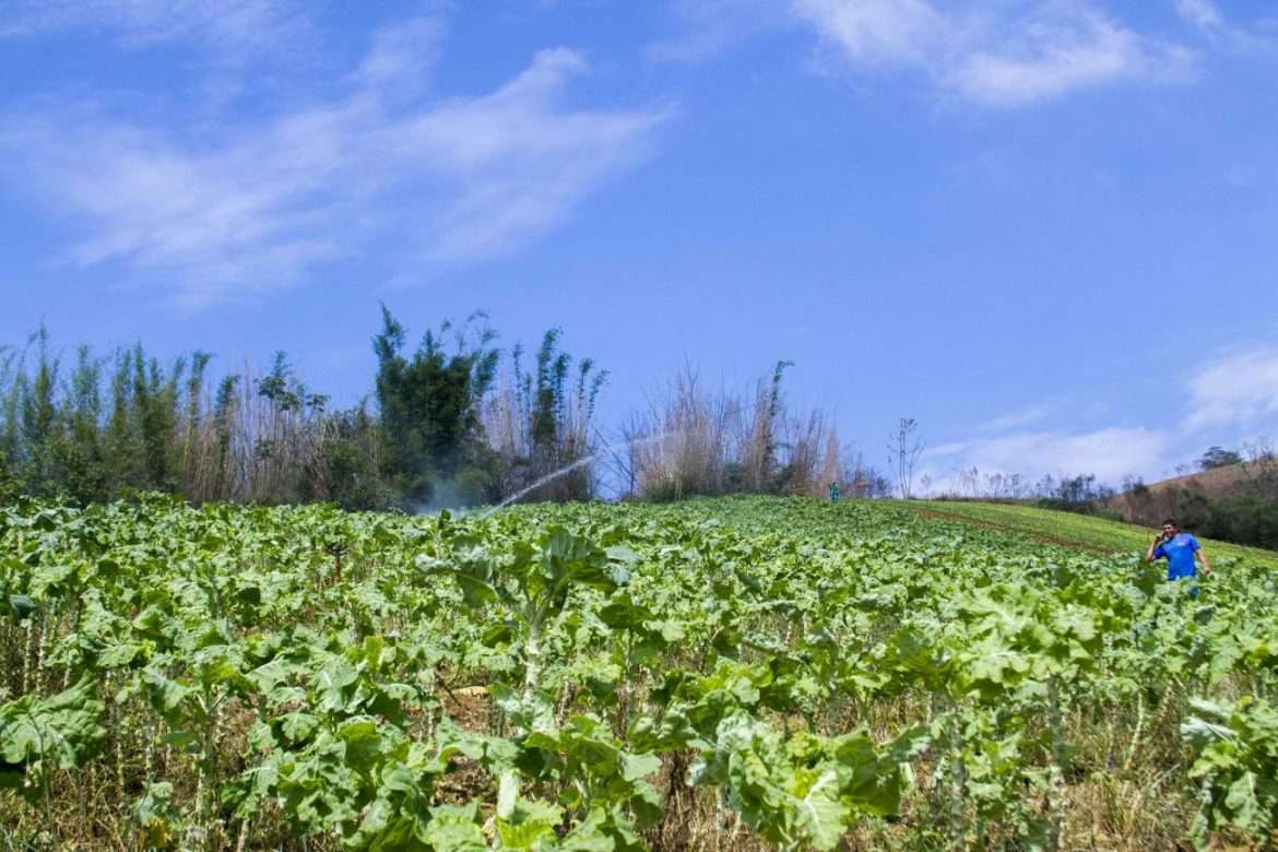 48 cf economia valença e governo do estado divulgam novas oportunidades de emprego arquivo vc