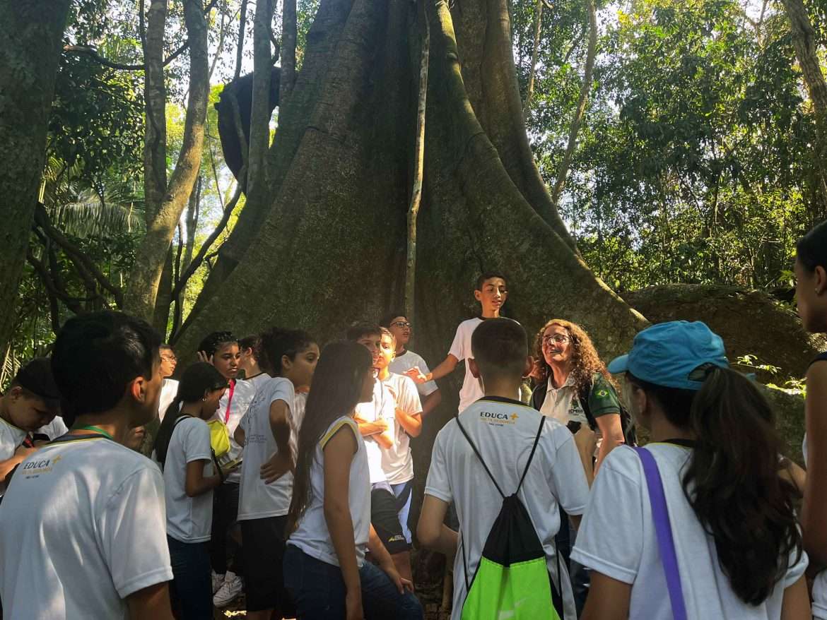 dia da Árvore é celebrado pela csn na floresta da cicuta, em volta redonda divulgaÇÃo