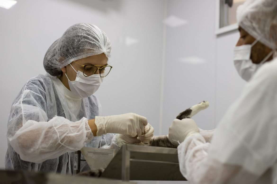 notas fila de castraÇÃo É zerada em volta redonda secom pmvr