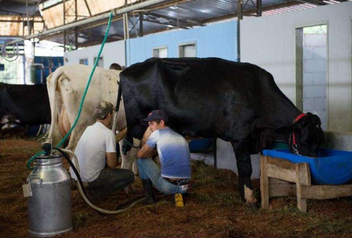 pÁgina 3.55ª exapicor.9.torneioleiteiro.divulgaÇÃopmr