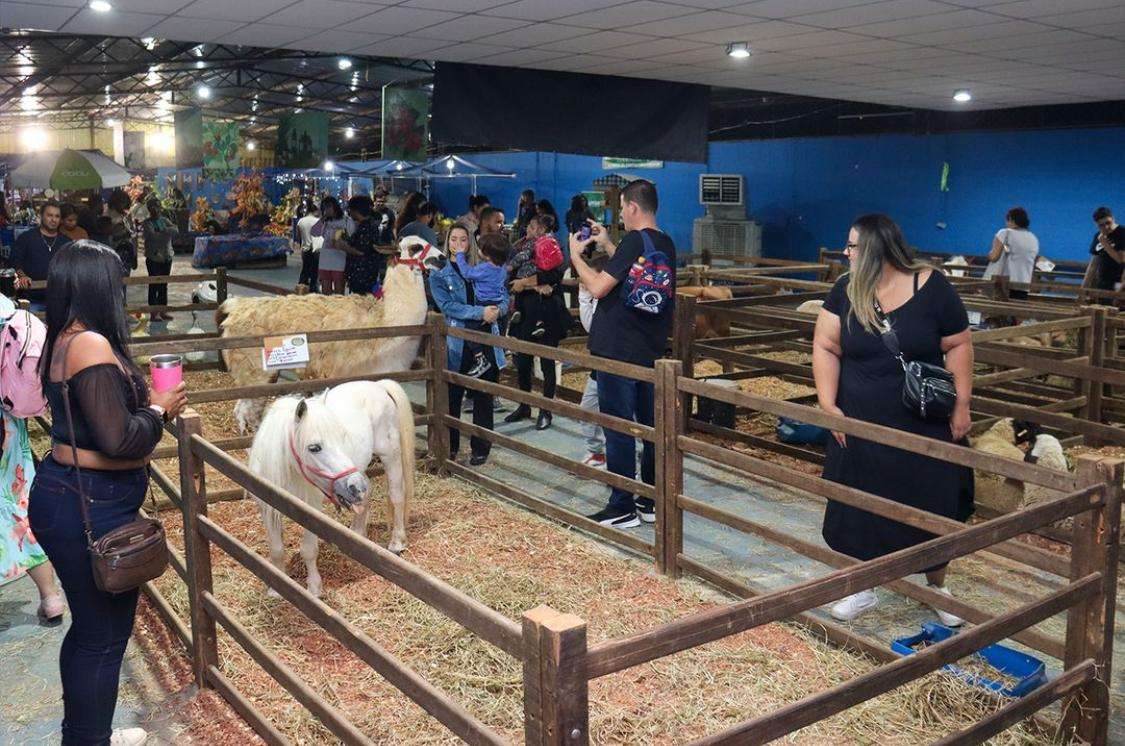 pÁgina 7 exposição de pequenos animais.divulgaÇÃopmr (4)