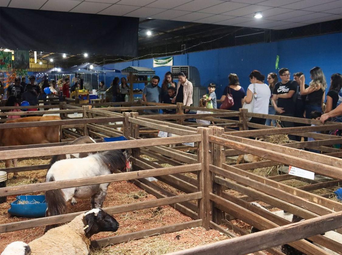 pÁgina 7 exposição de pequenos animais.divulgaÇÃopmr (7)