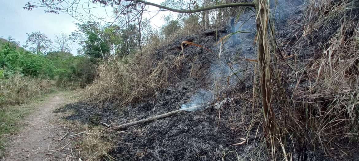 pedreira da voldac, em volta redonda, sofre a quarta queimada neste ano divulgação