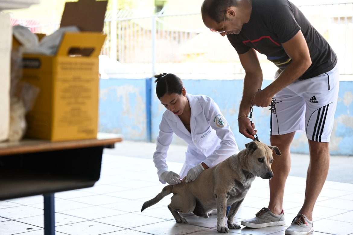 vacinação antirrábica será realizada em barra mansa neste fim de semana arquivo pmbm