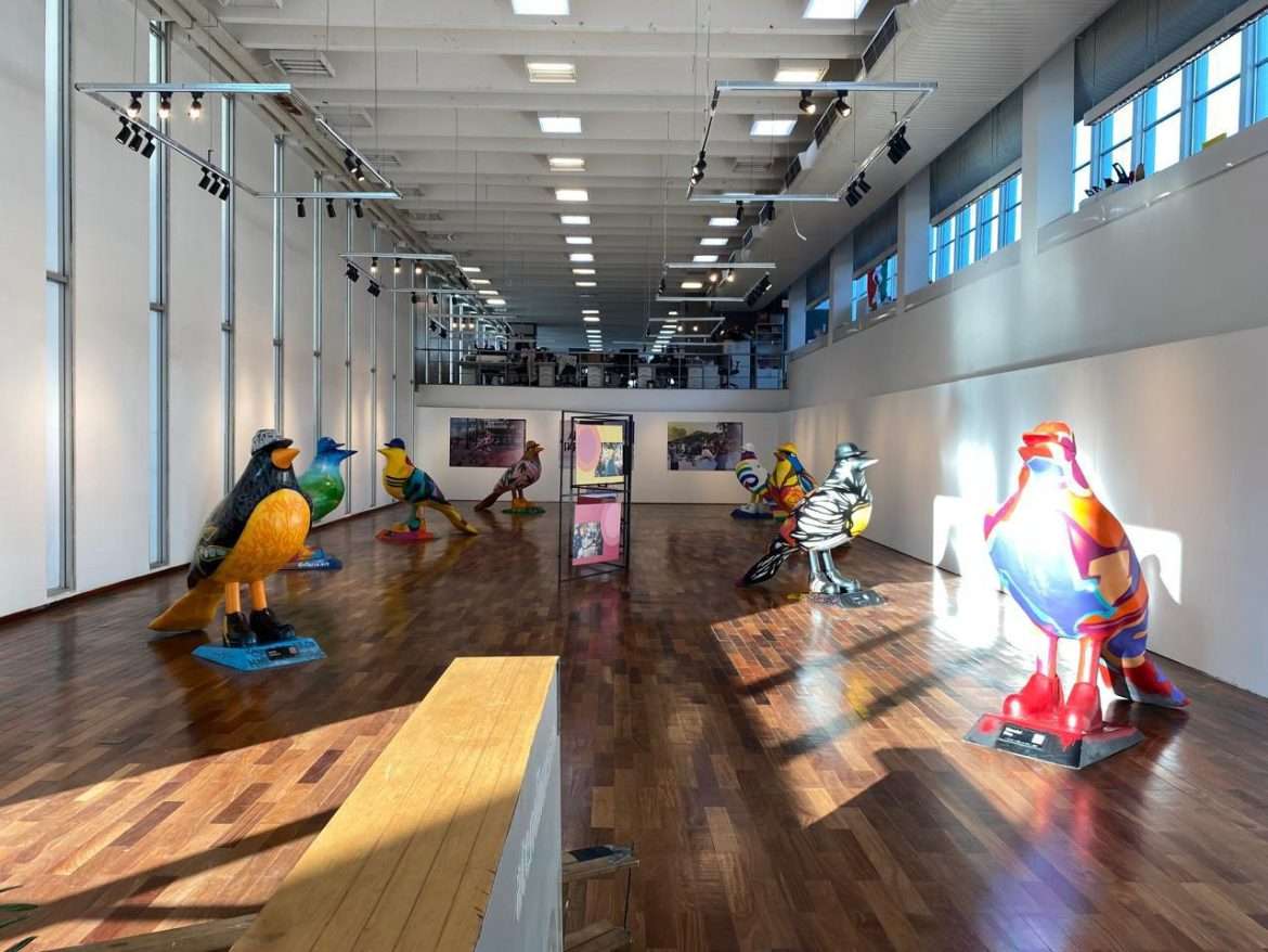 27.cf.res.cultura.artistas de volta redonda levam exposição.1.exposiÇÃo.divulgaÇÃosecompmvr