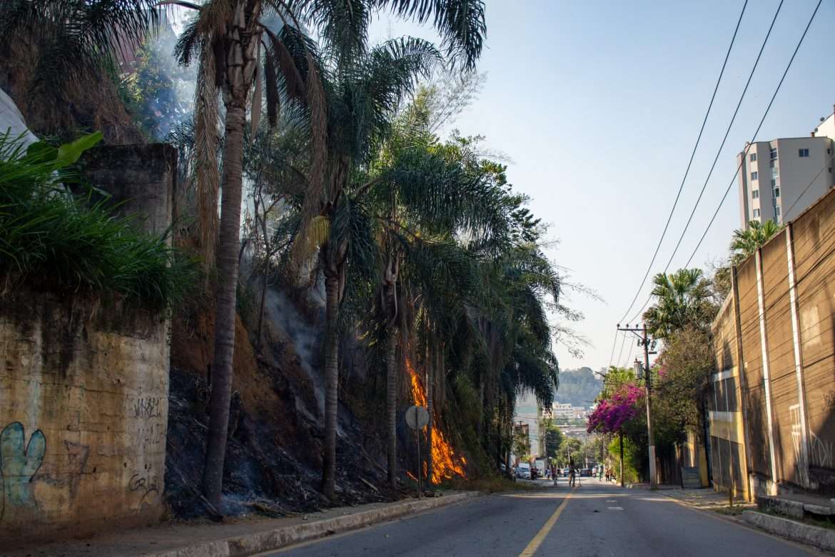 a 59 cf cidades Áreas que sofreram queimadas estão mais sujeitas a deslizamentos no período de chuvas iam martins