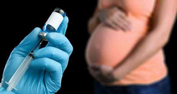 a importancia da vacina da coqueluche para a gestante divulgação cuidar pediatria