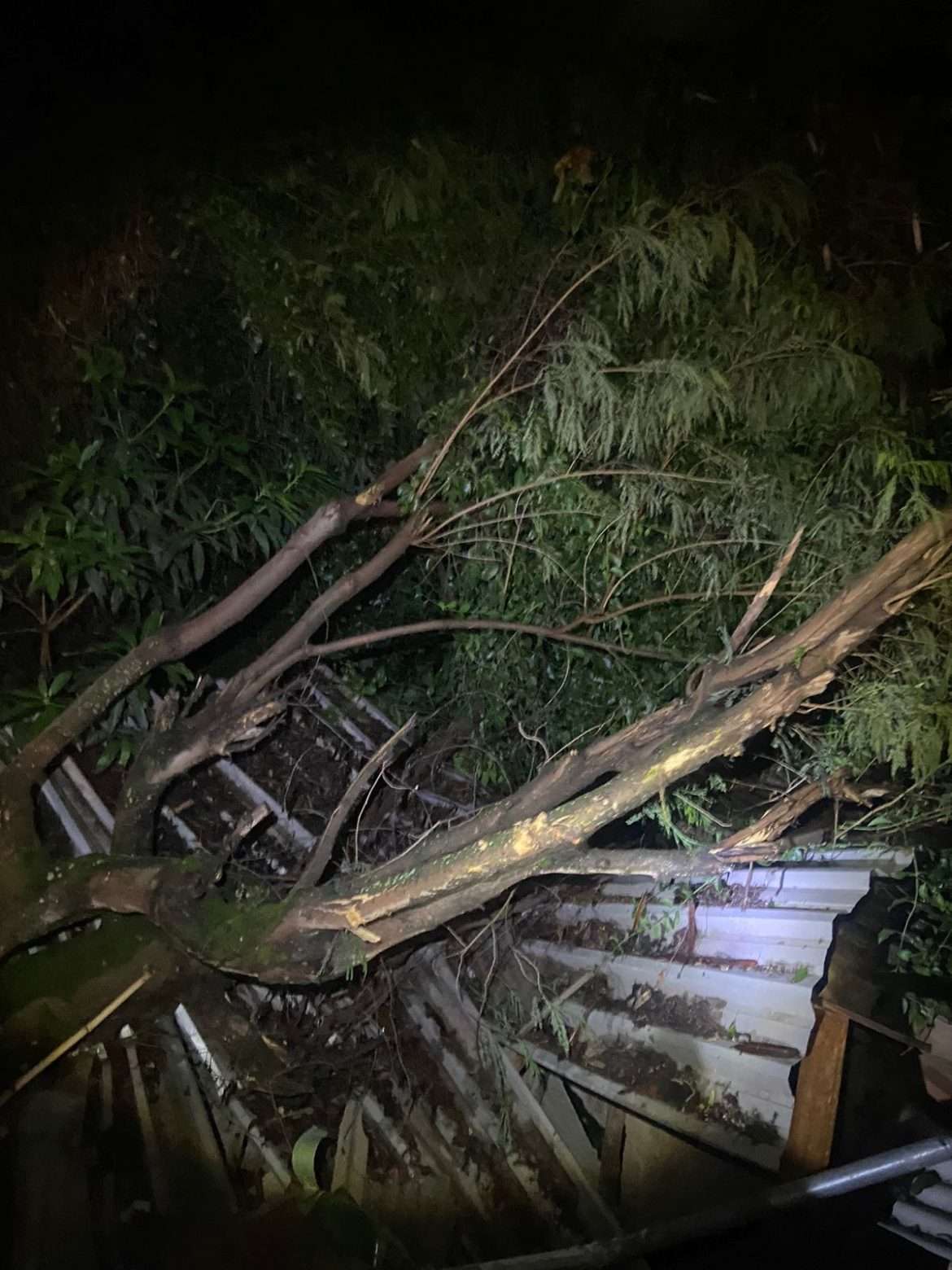 d7eb458b 022a 42f0 a340 2fca60dc1c87