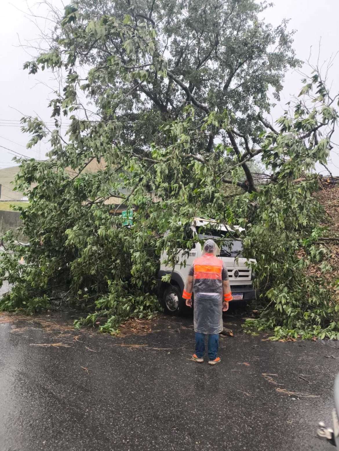 e09efd67 7590 43e4 afa7 4b6d25f1fba3