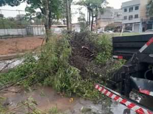 equipes da prefeitura de volta redonda atuam na limpeza das ruas após chuva e ventos fortes dessa quinta feira divulgação secom1