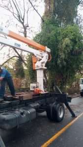 equipes da prefeitura de volta redonda seguem atuando na limpeza da cidade após temporal com vento poda de árvore