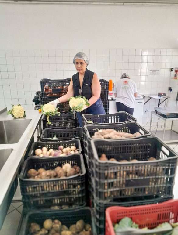 mais de 200 famílias de volta redonda serão beneficiadas pelo projeto ‘comida de verdade’ divulgação secom