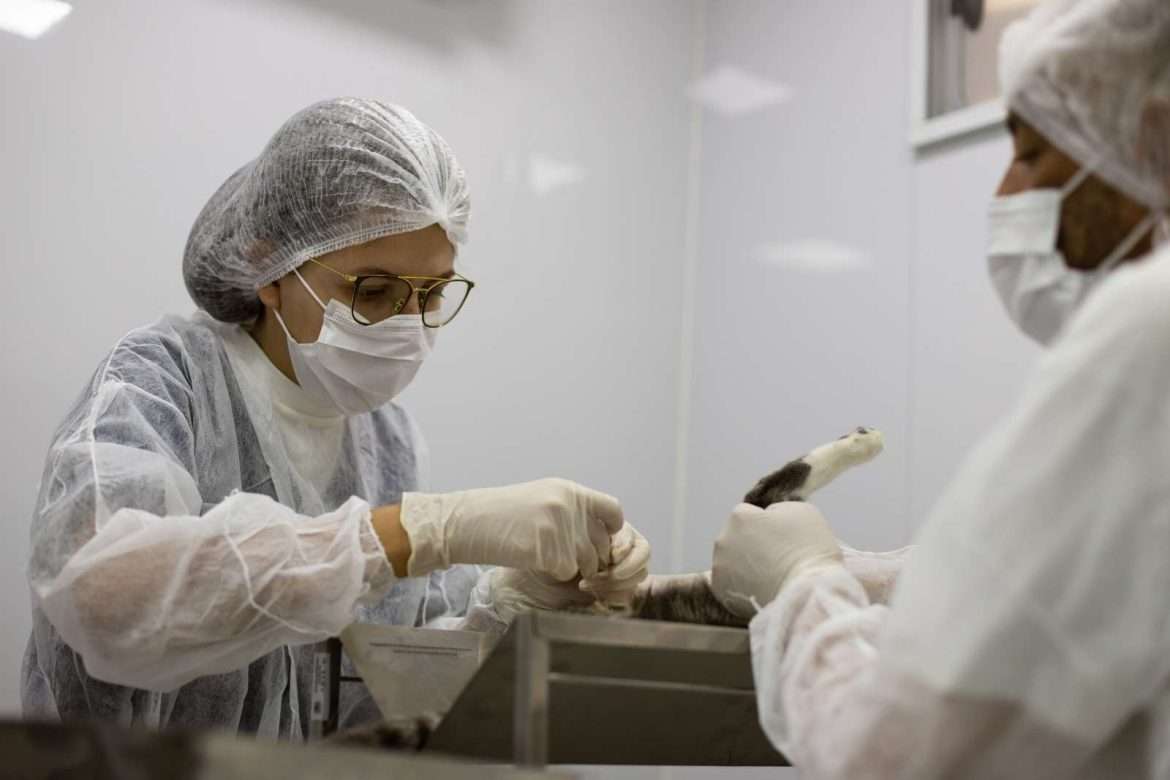 volta redonda anuncia 900 vagas de castração gratuita em novembro arquivo secom