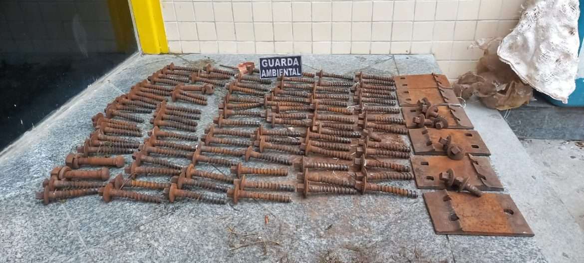 whatsapp image 2024 10 28 at 13.51.17