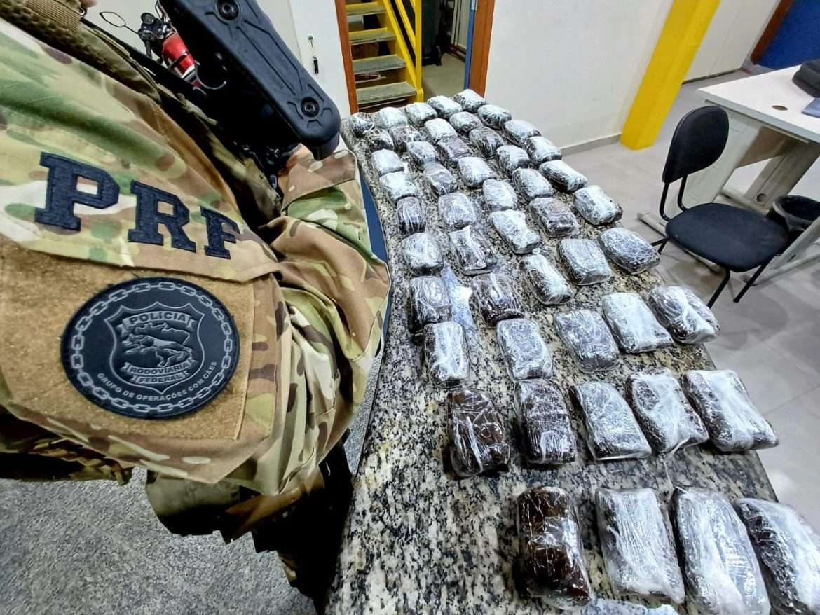 26044cce b591 4dc0 b78d f4127a872c62