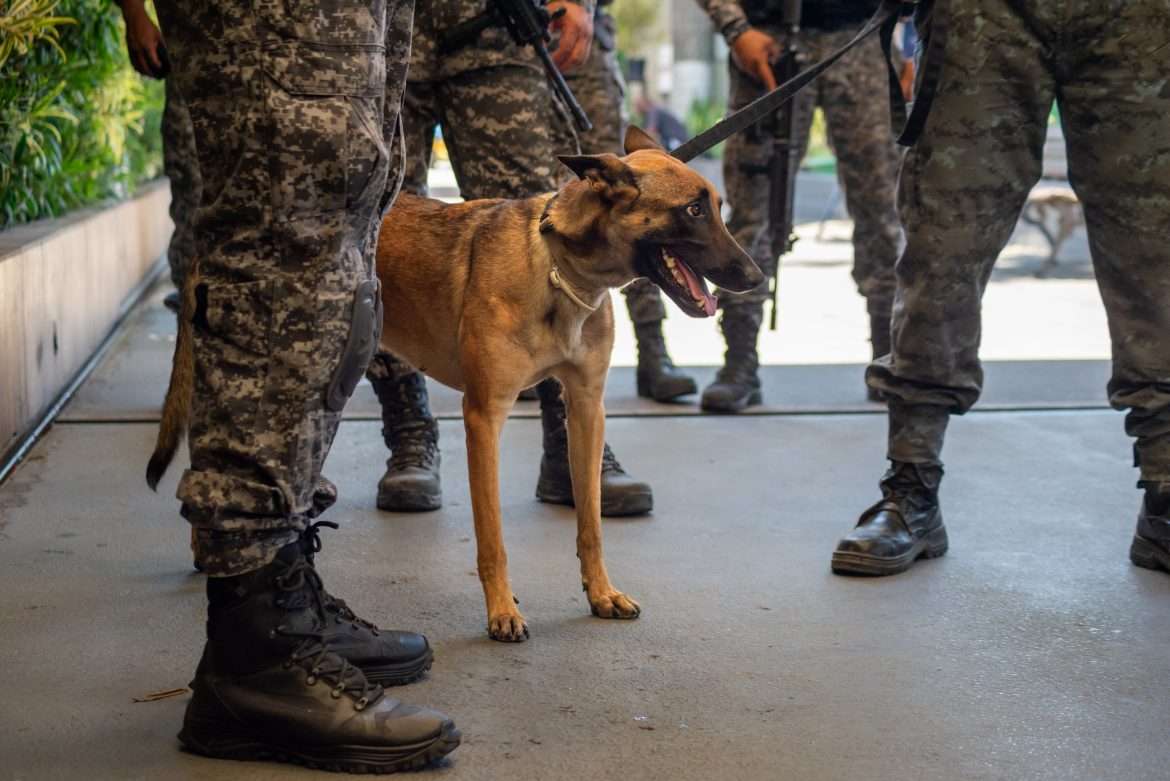 28 11 2024 assinatura da parceria para instalação do batalhaão de ações com cães em vr 8 foto iam martins