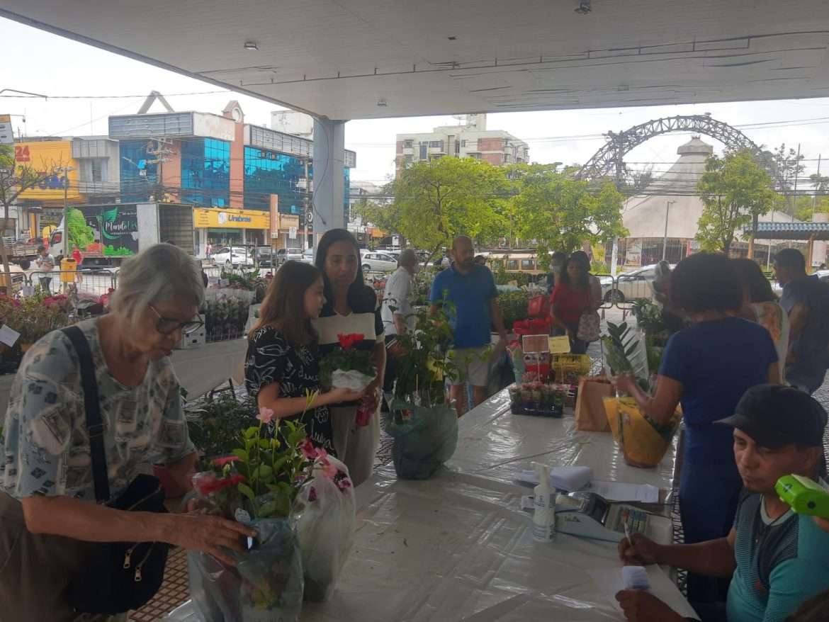 39 economia feira de flores e plantas de holambra, com preços acessíveis, vai contribuir com as atividades da apae vr arquivo