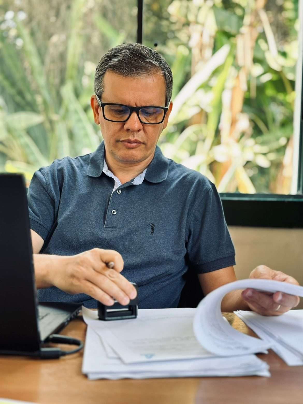 a 65 cidades secretaria de proteção e bem estar dos animais recebeu mais de cem denúncias de maus tratos foto divulgação