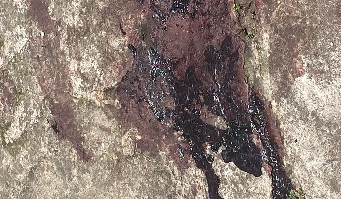 a polÍcia mulher confessa ter ferido com faca comerciante no conforto divulgação (2)