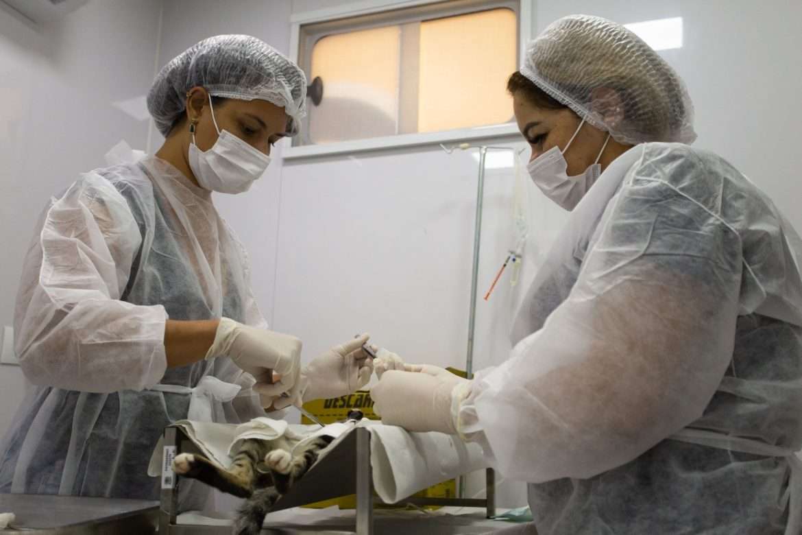 população de volta redonda recebe alerta sobre saúde dos animais e importância da castração cris oliveira secom