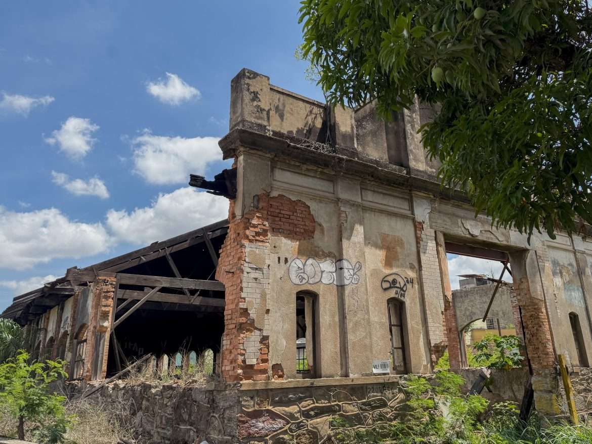 whatsapp image 2024 11 01 at 14.43.36 (2)