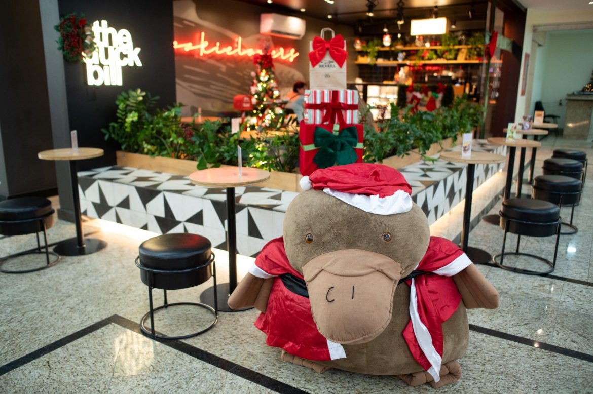 divulgados os ganhadores do concurso ‘sua vitrine, nosso natal’ da cdl vr divulgação gabriel borges