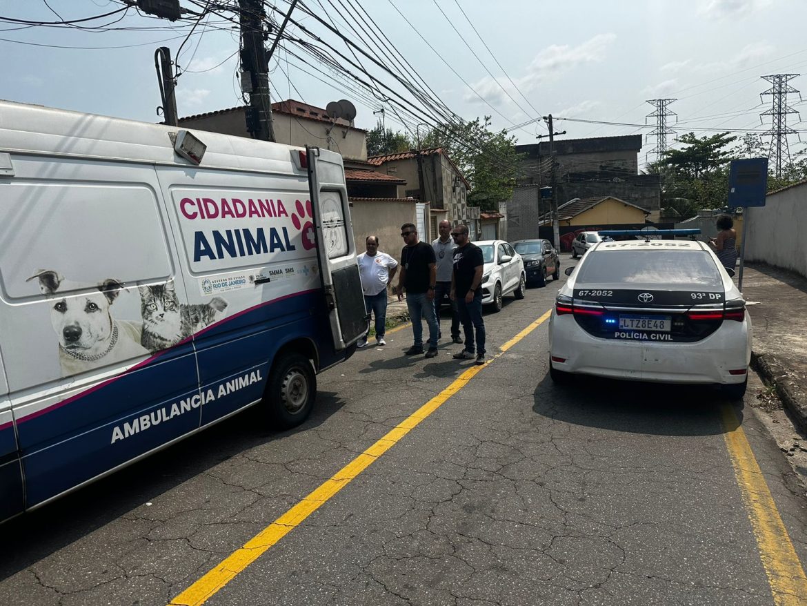 uma fiscalização de maus tratos a animais é realizada por dia em volta redonda divulgação secom