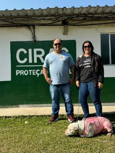 uma fiscalização de maus tratos a animais é realizada por dia em volta redonda divulgação secom11