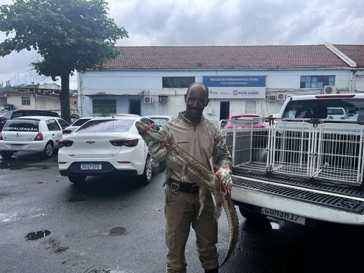 whatsapp image 2024 12 03 at 10.36.15