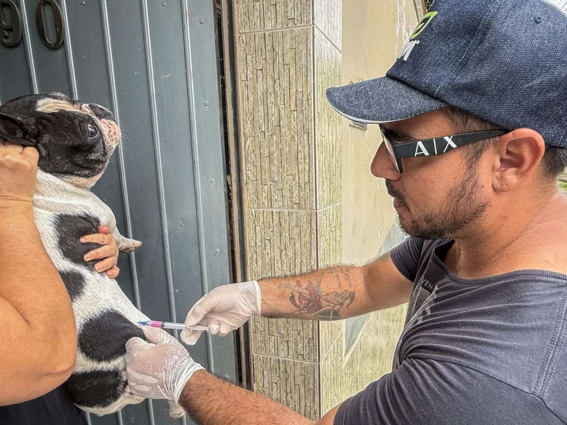 whatsapp image 2024 12 04 at 14.52.58