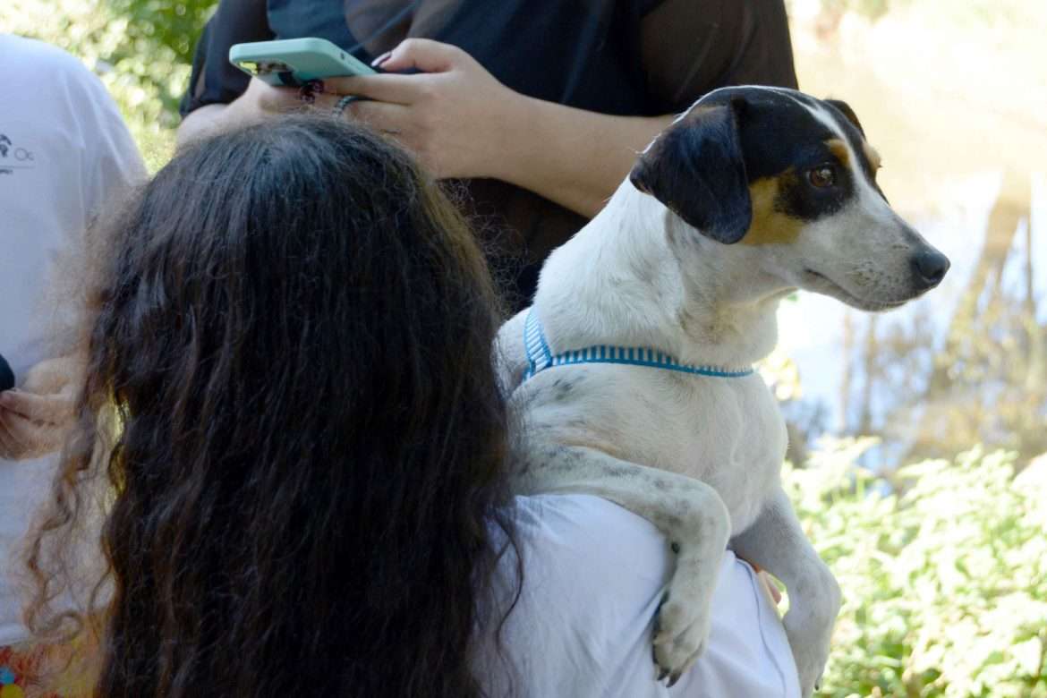 whatsapp image 2024 12 06 at 09.52.27