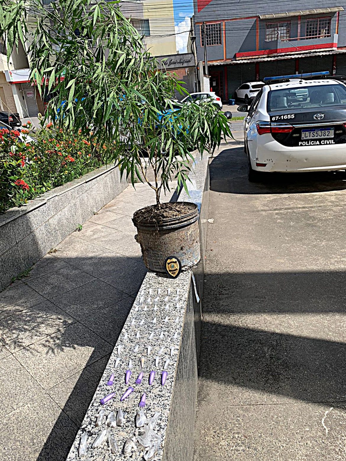 20.cf.res.polÍcia.homem é preso suspeito de tráfico de drogas.divulgaÇÃopm