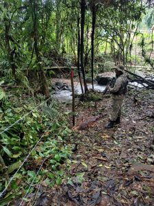 25 polÍcia indício de desmatamento é identificado pela polícia em paraty divulgação11