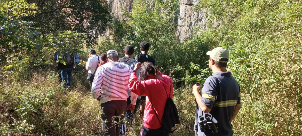 25938936 95db 4f3f b23e f74e311d4256