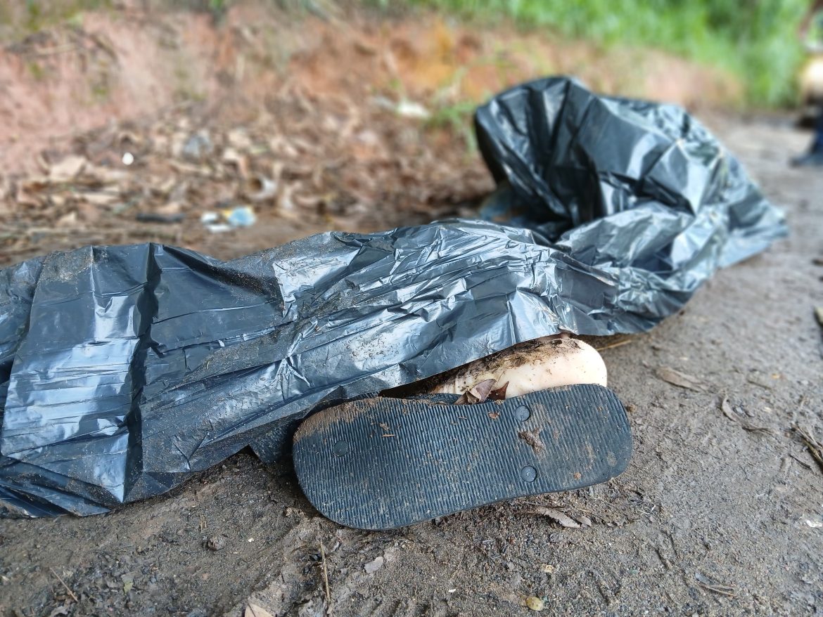 a corpos em vr evandro freitas