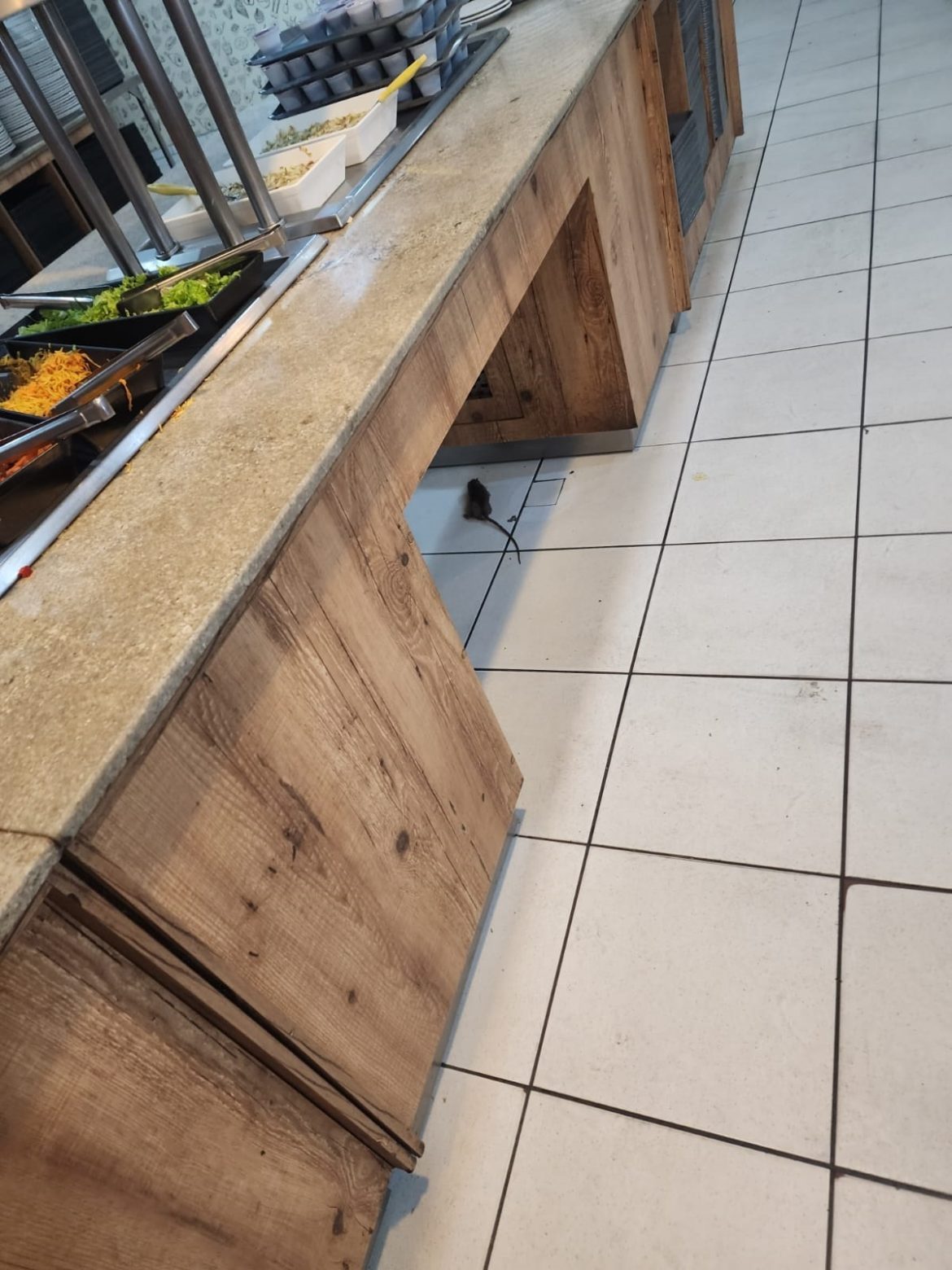 a.cf.44.cidades.funcionários denunciam condições insalubres no restaurante da volkswagen divulgaçãoo