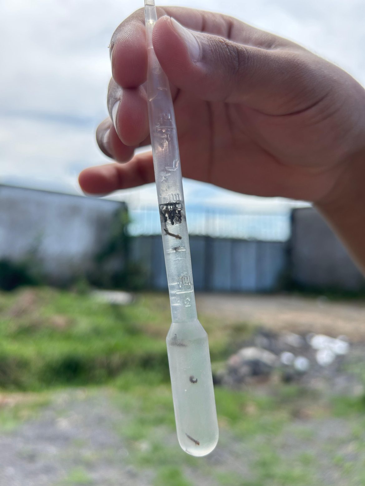 anyconv.com c5e0db1c 1735 4a21 81c5 1bf996eba3e6