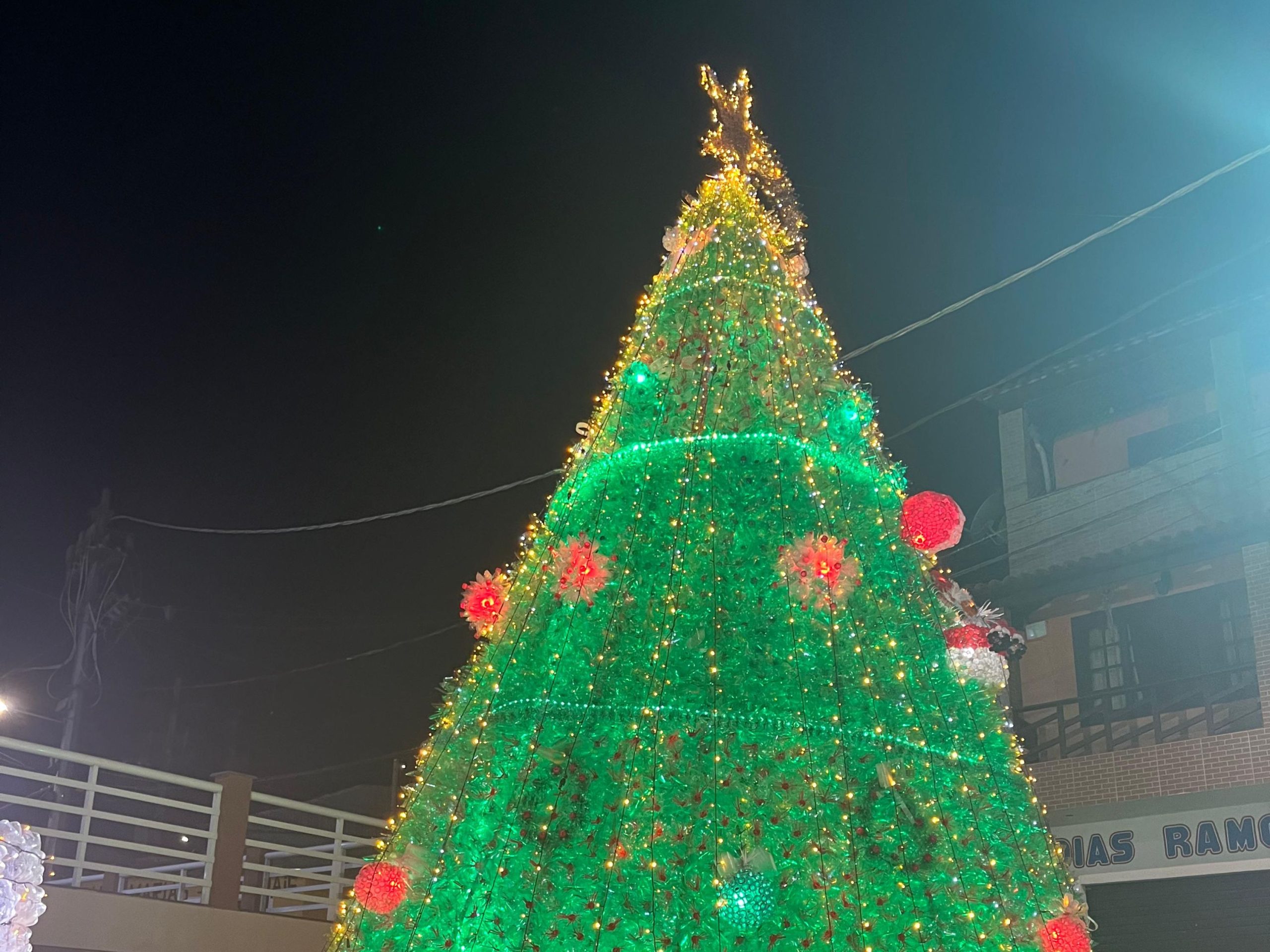 Árvore do provetá é a vencedora do natal luz e arte 2024 divulgação pmar