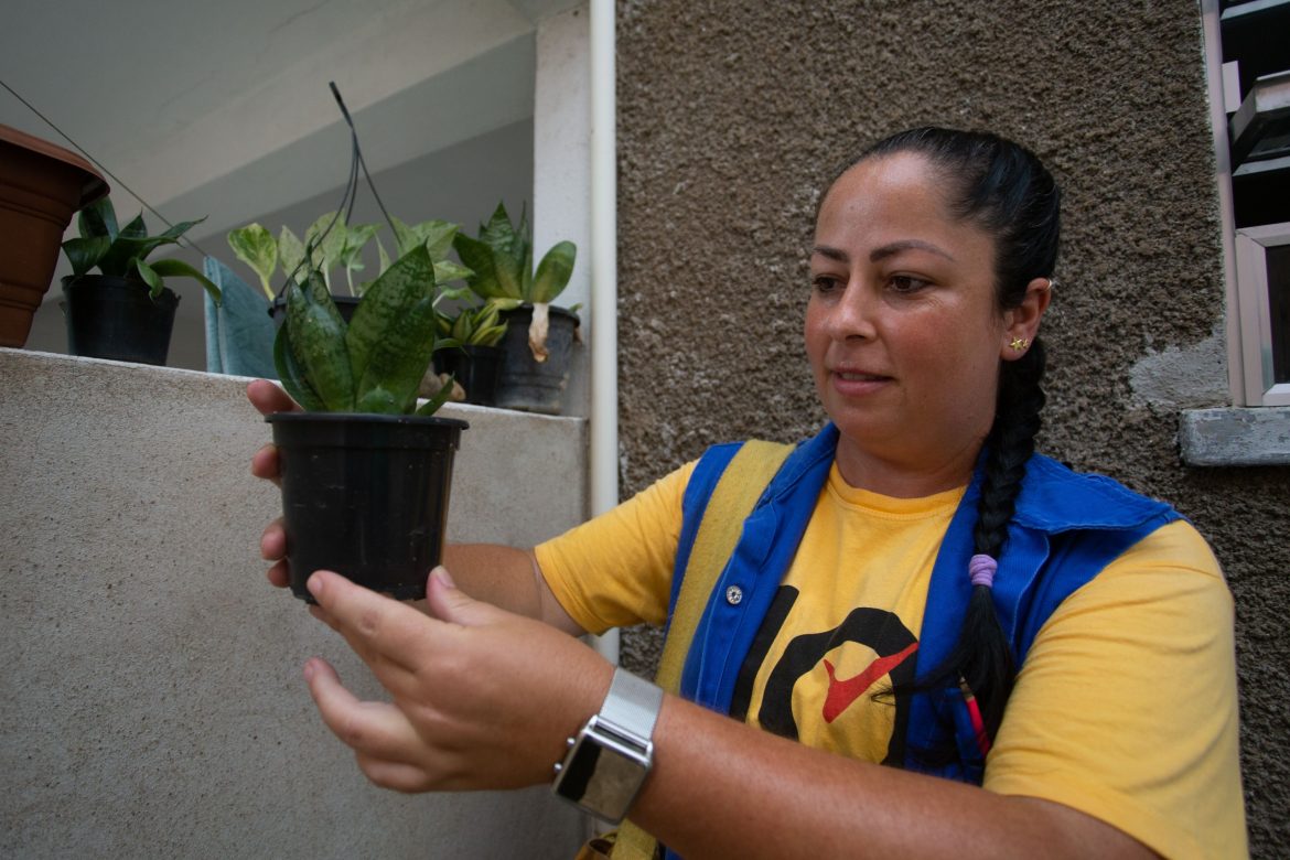 imagem do whatsapp de 2025 01 23 à(s) 16.42.06 55a78201