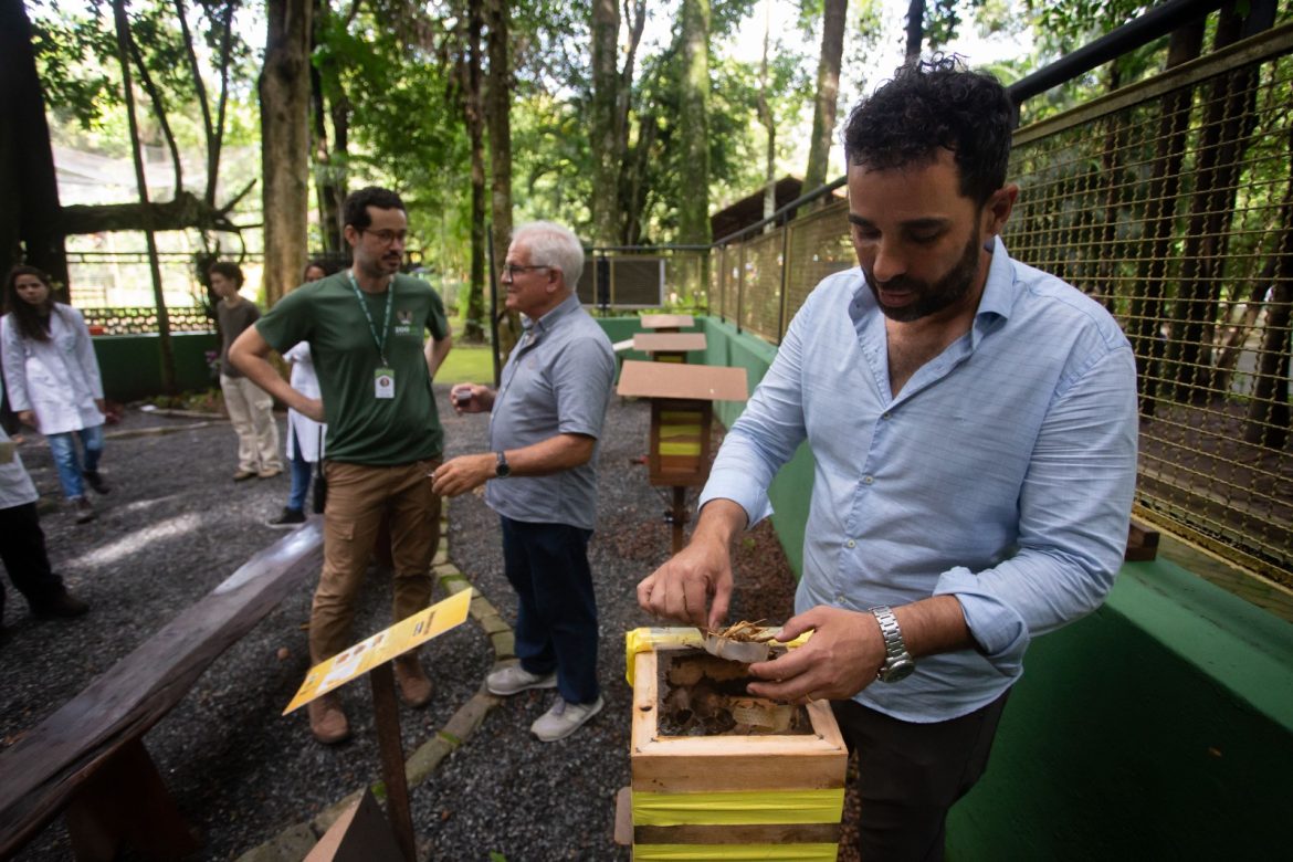 primeiro meliponário público de volta redonda é inaugurado no zoológico municipal cris oliveira secom1111