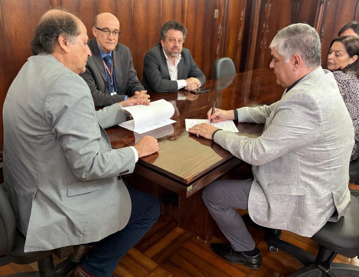 whatsapp image 2025 01 23 at 14.28.20