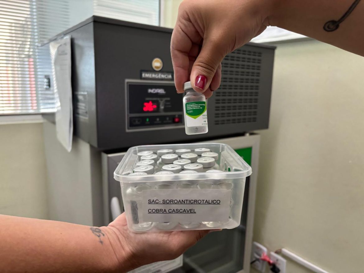 whatsapp image 2025 01 25 at 09.50.41