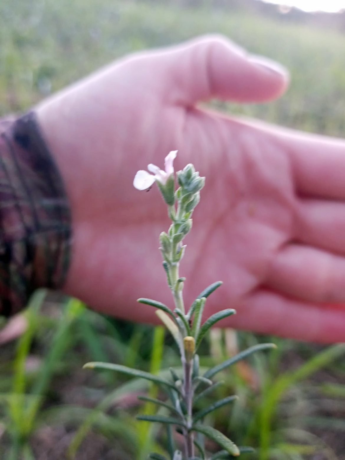 whatsapp image 2025 01 26 at 09.21.48