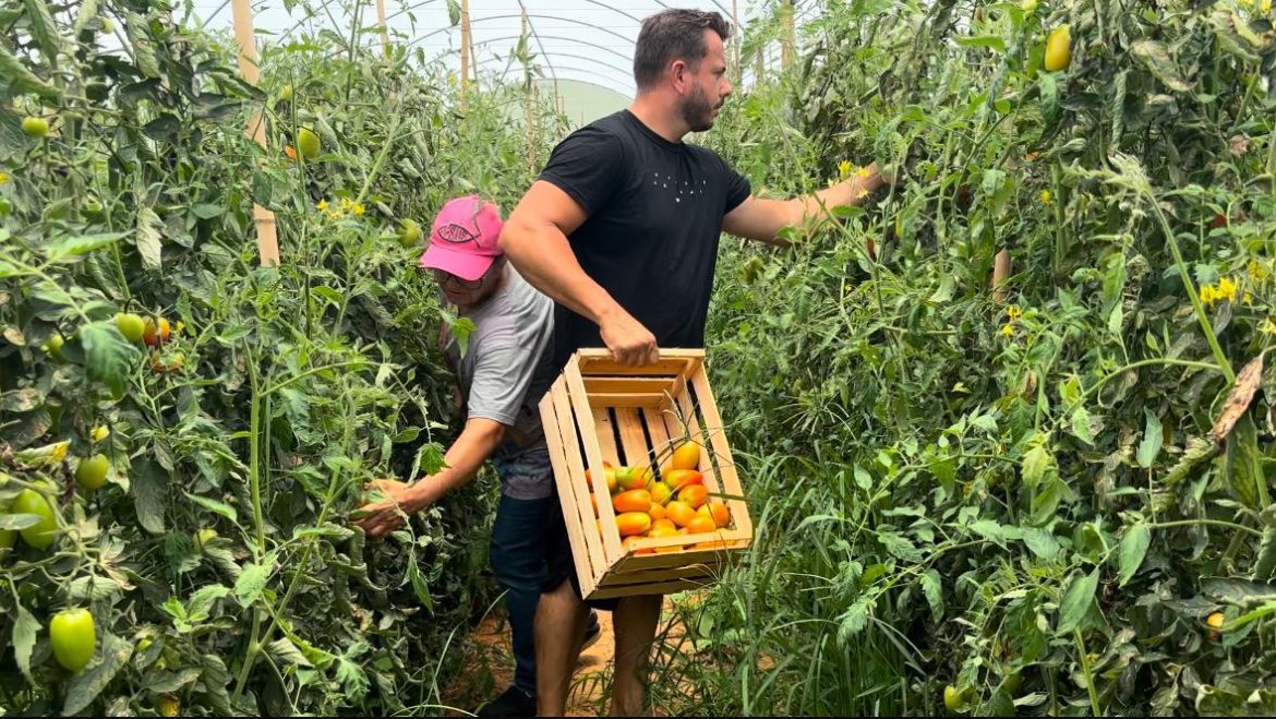 whatsapp image 2025 01 30 at 14.37.34 (1)